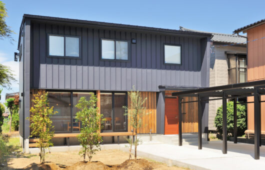 ボルダリングと雲梯のある、 家をまるごと使って遊ぶ住まい